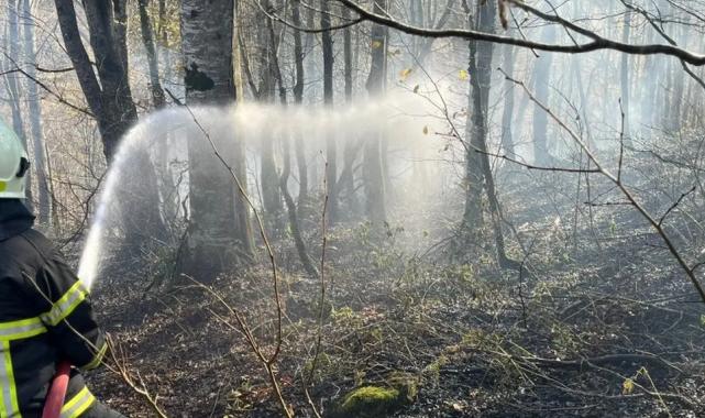 Ordu’da bir haftada 40 yangın alarmı
