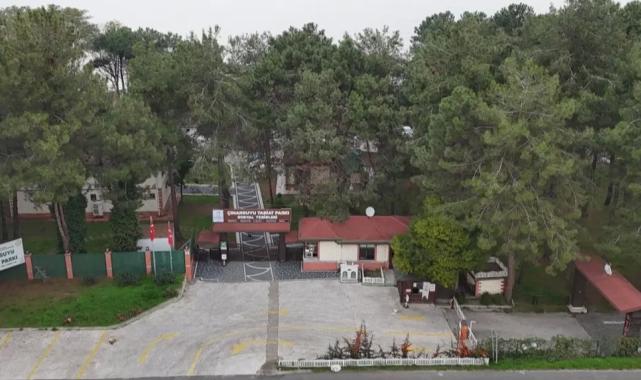 Ordu’da doğayla iç içe tatil alanı yenileniyor