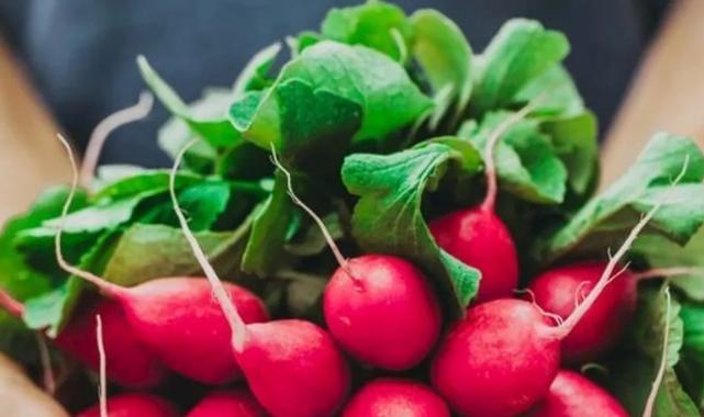 Pestisitte ‘turp yaprakları’ ayarı! Küçük ve büyük türler ayrı sınıflandırıldı!