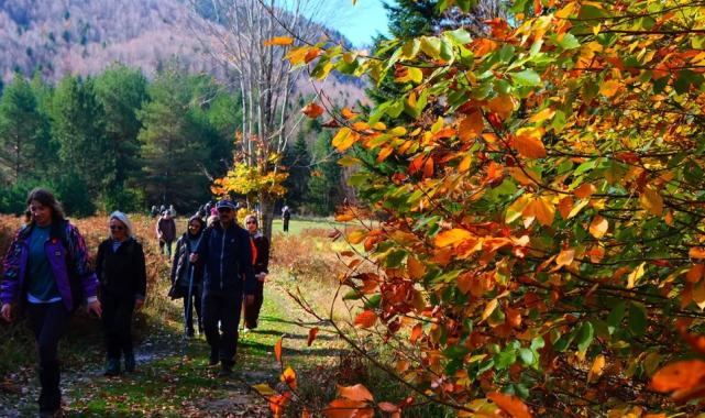 Sakarya’da doğa yürüyüşlerinde sonbahar coşkusu