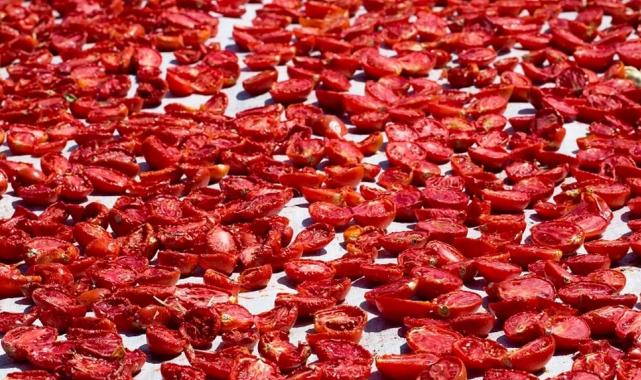Şifa deposu kuru domates ihracatta dünya ikincisi