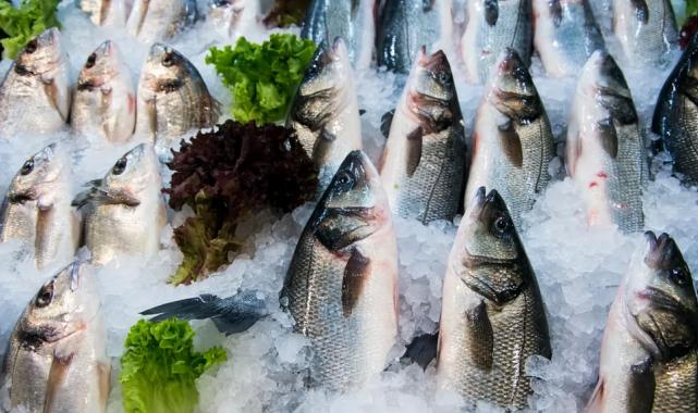 Su ürünleri ihracatının yüzde 47’si Ege’den yapıldı