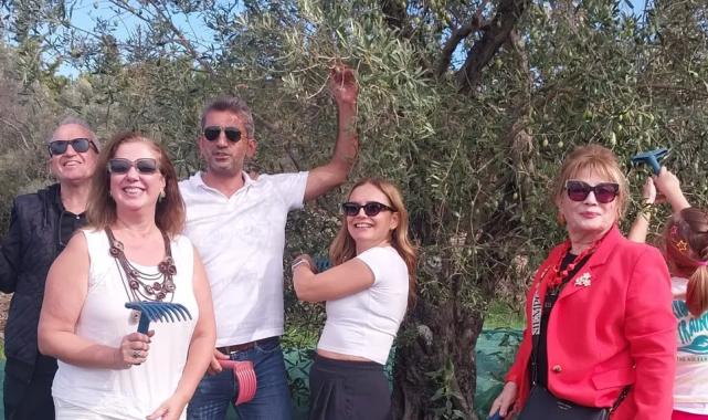 Urla’da zeytin hasadı etkinliği