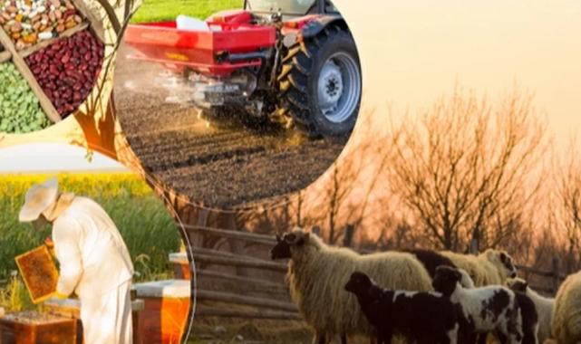 2 milyar TL’lik tarımsal destek hesaplarda