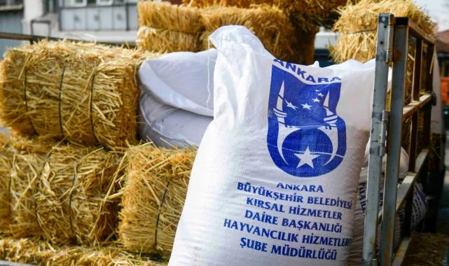 Ankara’da mandacılara yüzde yüz hibeli yem desteği