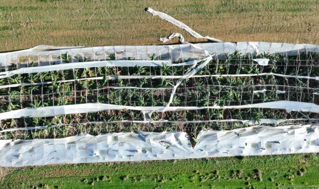 Antalya Büyükşehir’den hortum felaketinde çiftçiye destek