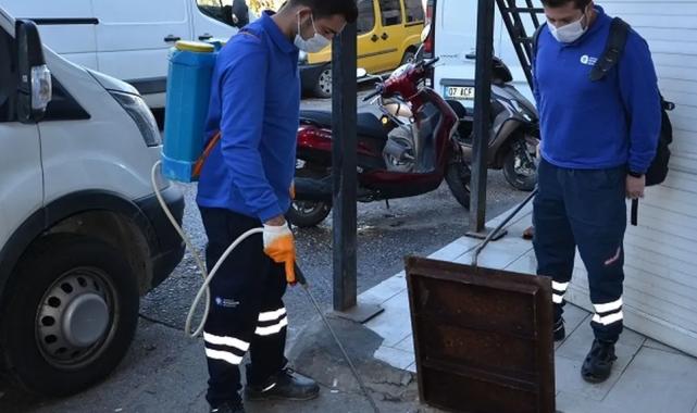 Antalya’da vektörel mücadele çalışmaları sürüyor