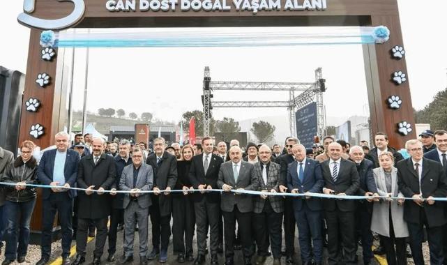 Balıkesir’den sokak hayvanlarına sıcak yuva