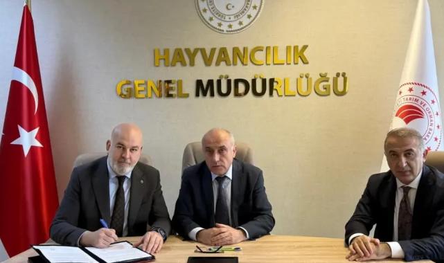 Besilik hayvan krizine neşter! İki kritik protokolle yerli üretim güçlenecek
