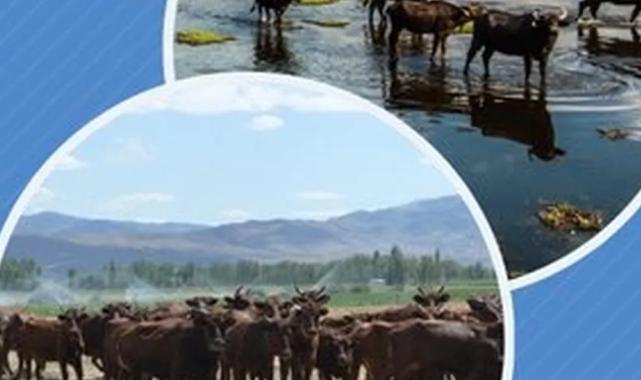 Halk elinde ıslaha 2,7 milyar TL destek