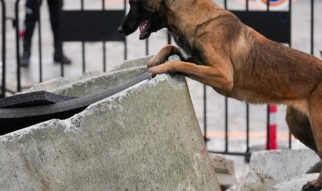 İstanbul Maltepe’nin Zeyna’sı artık ekibin bir parçası