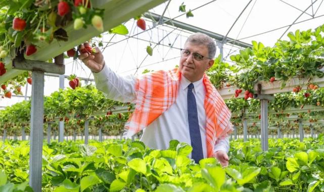 İzmir Büyükşehir’den çiftçiye 550 milyon TL’lik nefes