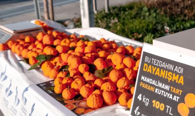 İzmir Güzelbahçe’de güven esaslı dayanışma… Tart ve parasını kutuya at!
