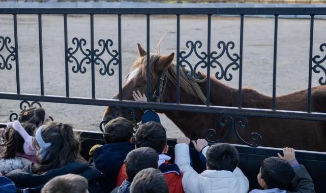 İzmirli çocuklara hayvan sevgisi kazandırılıyor