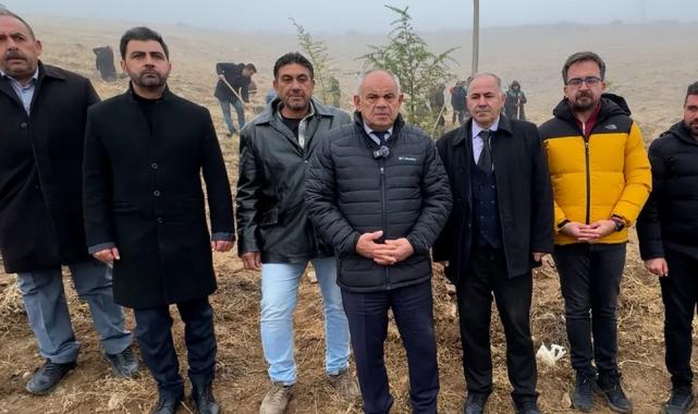 Kayseri Büyükşehir şehri yeşillendirmeye devam ediyor