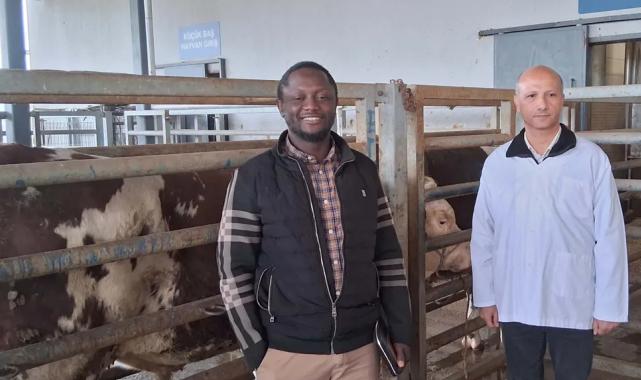 Kocaeli Büyükşehir mezbahasına örnek tesis vurgusu