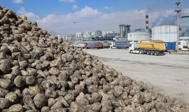 Konya Pancar Ekicileri bu yıl verimden memnun