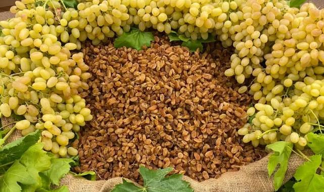 Kuru meyve sektörü 2025’i değerlendirdi