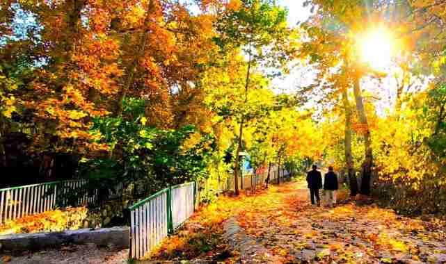 Mardin Yeşilli’de sonbahar büyüsü (Özel Haber)
