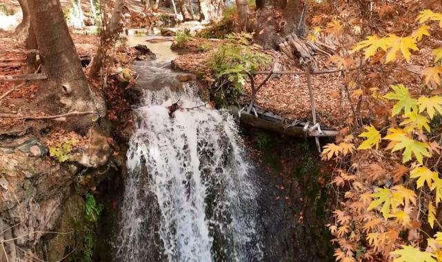 Mardin’in gizli cenneti renk cümbüşüne döndü