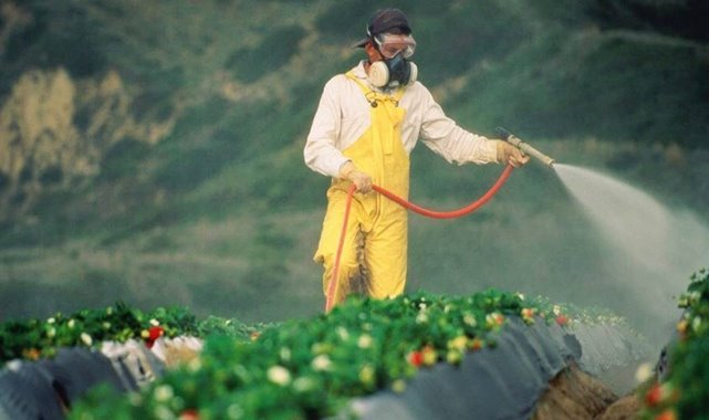 Açıkta satılan bitkilerde ağır metal, pestisit ve yanlış karışım riski uyarısı