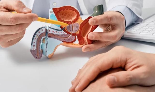 Prostat büyümesi erken önlemle kontrol altına alınabiliyor