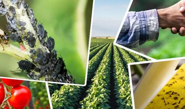 Tarımsal üretimi destekleyecek önemli düzenleme… Tarımsal destek ödemelerine ayar