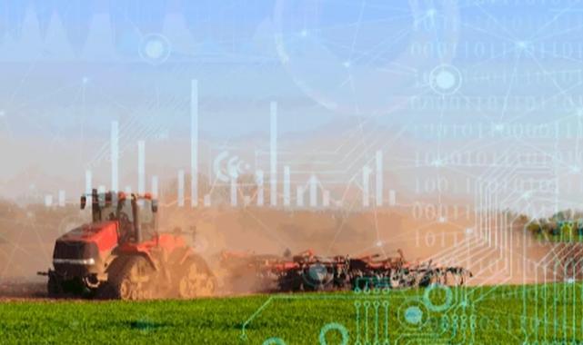 TÜİK 2025 bitkisel üretim verilerini açıkladı… Üretimde genel düşüş yaşandı