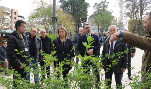 Yeni Cuma Parkı yaz aylarında botanik bahçesine dönüşecek