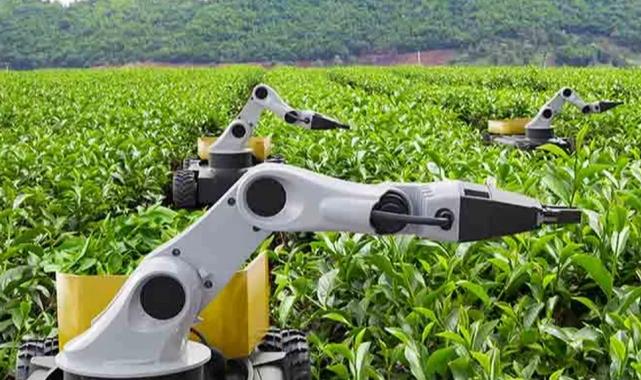 2026 “Kamusal Zekâ Yılı” ilan edildi