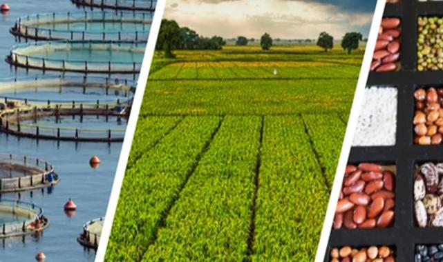 255 milyon lira çiftçilerin hesabında