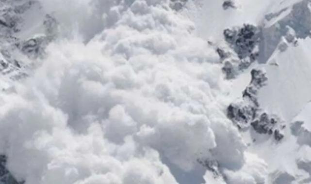 Artvin’de ikinci çobanın cansız bedenine ulaşıldı