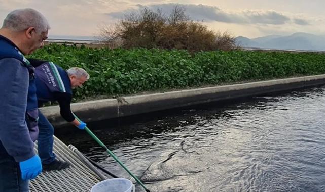 Gediz’de çevre kıyımına geçit yok!