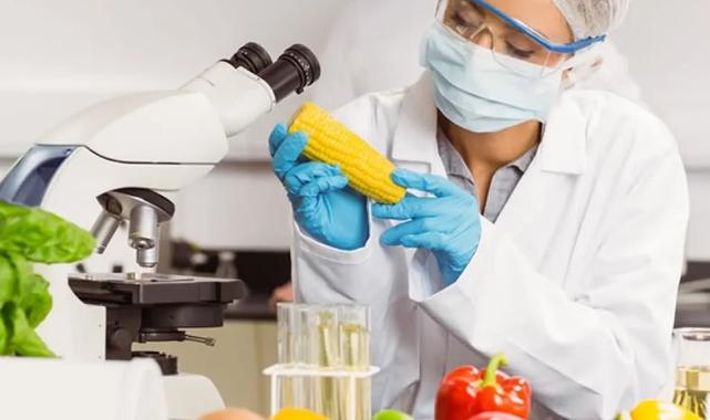 Gıda katkı maddelerine yeni düzenleme… İşletmelere 1 Mart’a kadar uyum süresi