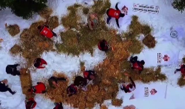 Ilgaz Dağı’na yüzlerce kilo yem bırakıldı