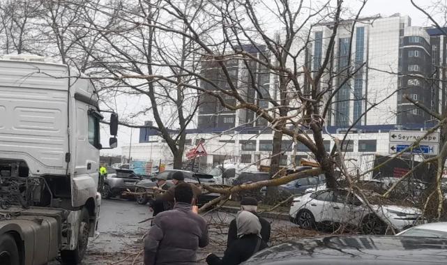 İstanbul’da fırtına: Ağaç devrildi, sahil yolları kapandı!