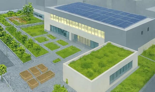 İzmir çatılarda yeşil devrimi başlatıyor