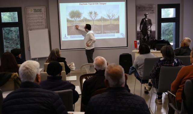 İzmir Efes Selçuk’ta üreticilere zeytin budama eğitimi