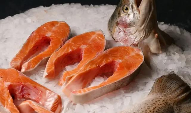 Karadenizin gururu… Türk somonu su ürünleri ihracatının yeni lokomotifi
