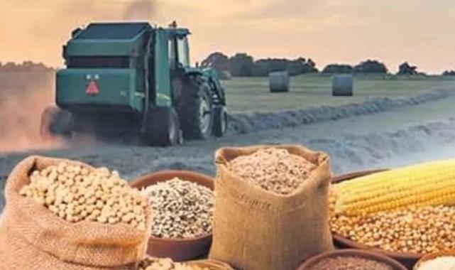 Tarım-ÜFE 2025’in son ayında da güçlü seyrini sürdürdü