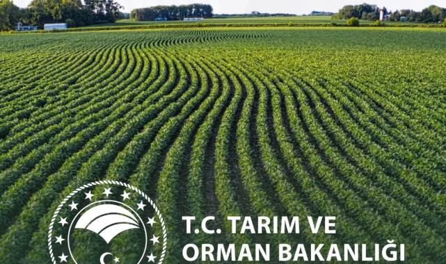 Yeni yılda kırsal kalkınmada destekler artıyor