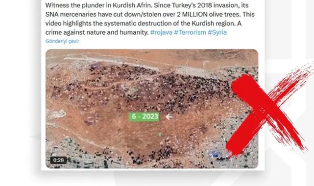 Afrin’de 2 milyon zeytin ağacı kesildi iddiasına İletişim’den yanıt