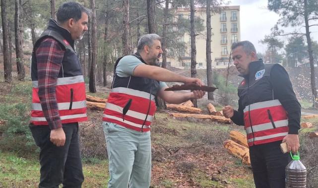 Hatay’da mücbir ağaç kesimlerine ‘Tabiatı Koruma’dan açıklama