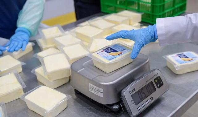 İzmir Büyükşehir’den peynir hamlesi… 500 gramlık kaşar 165 TL