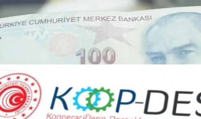 KOOP-DES Yönetmeliği’nde değişiklik Resmi Gazete’de