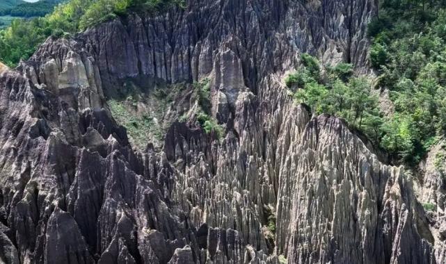 Korunan alan sayısı 692’ye yükseldi