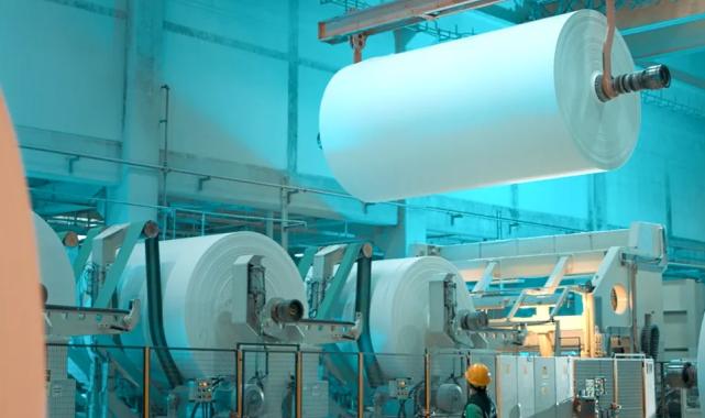 Lila Kağıt, 2025’i güçlü finansal performansla kapattı