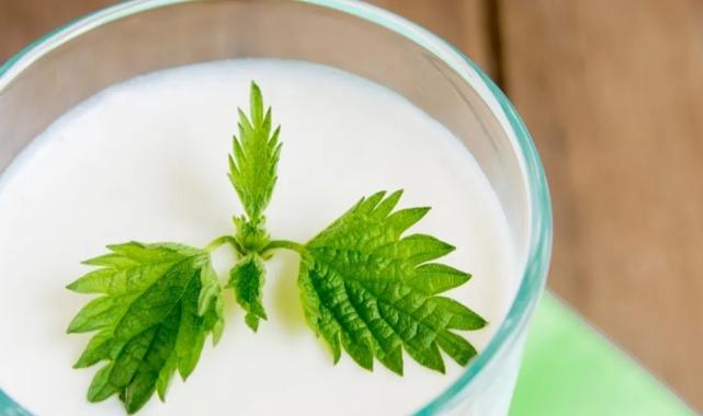 Ramazan’da susuz kalmayın… Süt ve ayran hidrasyonun gizli kahramanları