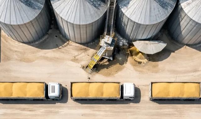 TMO’dan buğday satışı… 1,2 milyon ton stok günlük açık artırmada