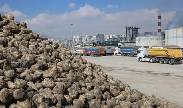 Üretici ortaklara pancar bedelleri ödeniyor